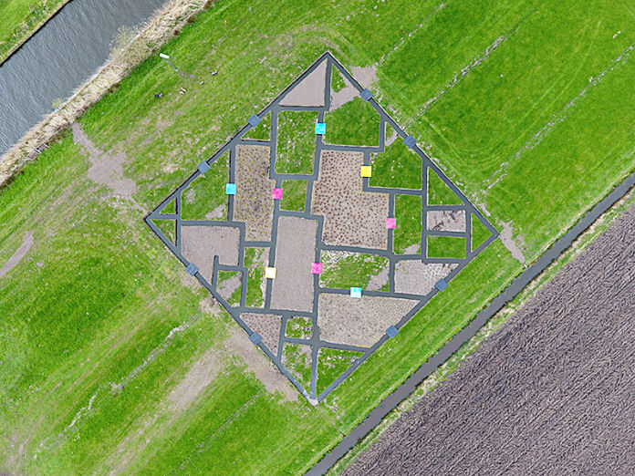 Yolanda van Dongen Landart