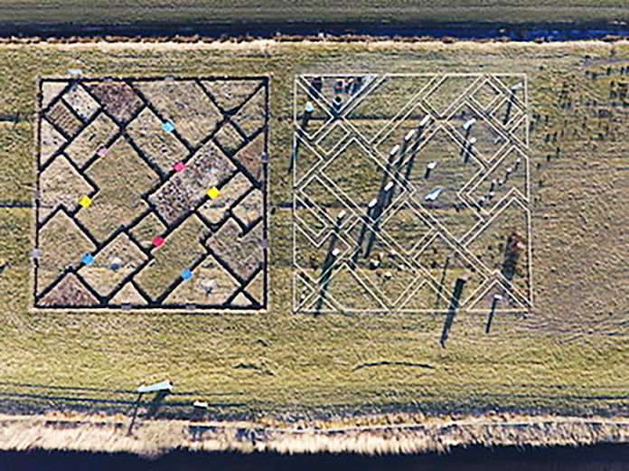 Yolanda van Dongen Landart